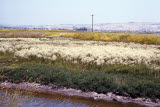 Select an image to enlarge