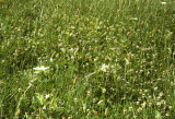 Select an image to enlarge