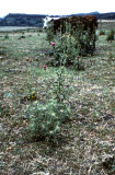 Select an image to enlarge