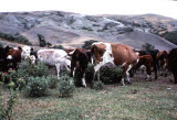 Select an image to enlarge
