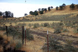Select an image to enlarge