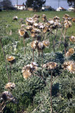 Select an image to enlarge
