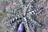 Select an image to enlarge