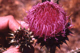 Select an image to enlarge