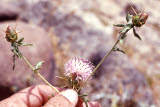Select an image to enlarge