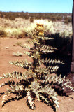 Select an image to enlarge