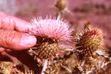 Select an image to enlarge