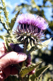 Select an image to enlarge