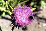 Select an image to enlarge