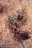 Select an image to enlarge