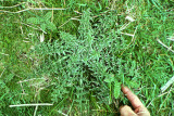 Select an image to enlarge