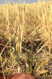 Select an image to enlarge