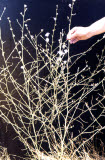 Select an image to enlarge