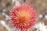 Select an image to enlarge