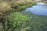 Select an image to enlarge