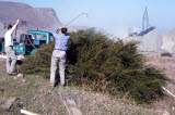 Select an image to enlarge
