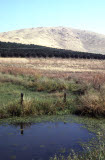 Select an image to enlarge