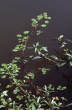 Select an image to enlarge