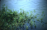 Select an image to enlarge