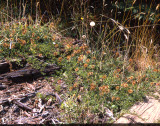 Select an image to enlarge