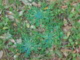 Select an image to enlarge