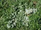 Select an image to enlarge