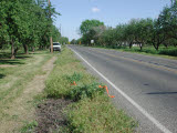 Select an image to enlarge