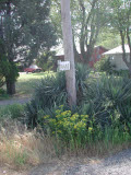 Select an image to enlarge