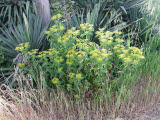 Select an image to enlarge