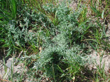 Select an image to enlarge