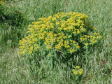 Select an image to enlarge