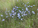 Select an image to enlarge
