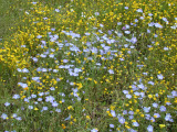 Select an image to enlarge