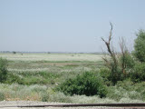 Select an image to enlarge