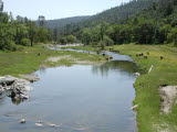 Select an image to enlarge