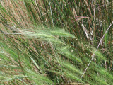 Select an image to enlarge