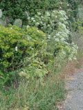 Select an image to enlarge