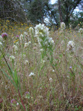 Select an image to enlarge