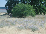 Select an image to enlarge