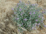 Select an image to enlarge