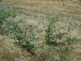 Select an image to enlarge