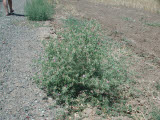 Select an image to enlarge
