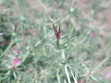 Select an image to enlarge