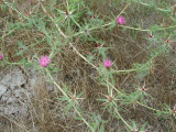 Select an image to enlarge