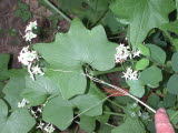 Select an image to enlarge
