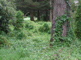 Select an image to enlarge