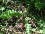 Select an image to enlarge