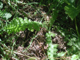 Select an image to enlarge