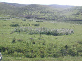 Select an image to enlarge