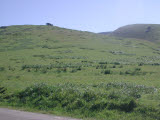 Select an image to enlarge